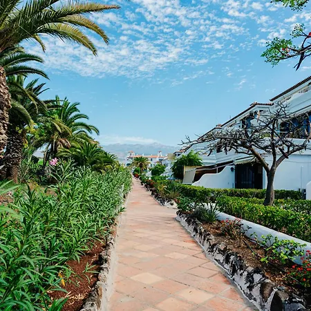 Apartament 1bdr Sunny Terrace