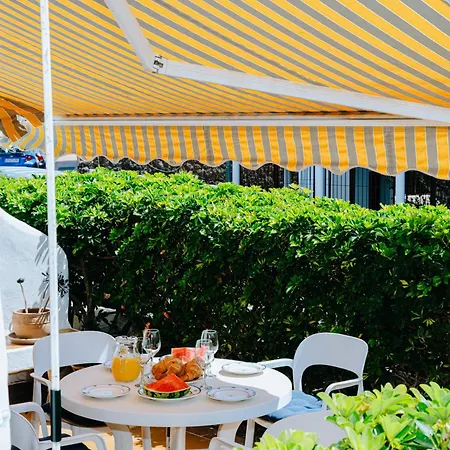1bdr Sunny Terrace